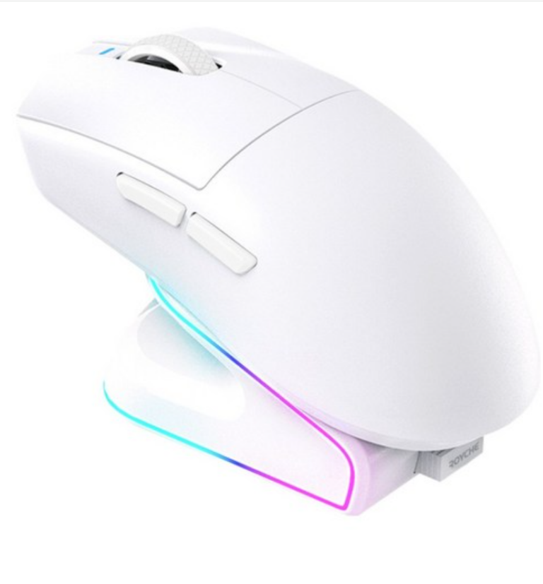로이체 충전독 + RGB 게이밍 무선 마우스 세트 RDM-G510 WH